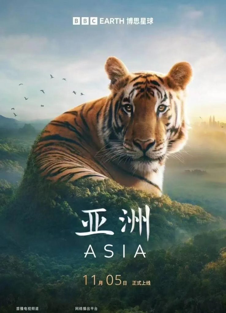 2024纪录片 亚洲 2024