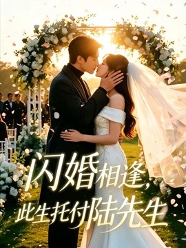 闪婚相逢 此生托付陆先生